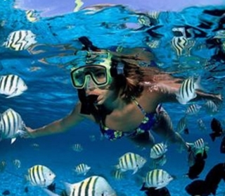  Snorkeling na praia 